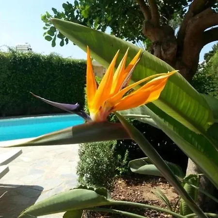 Sehr Schoene Mit Grosser Veranda,pool Garten Киссонерга