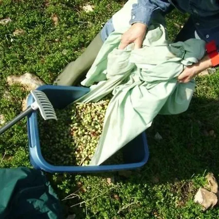 Sehr Schoene Mit Grosser Veranda,pool Garten