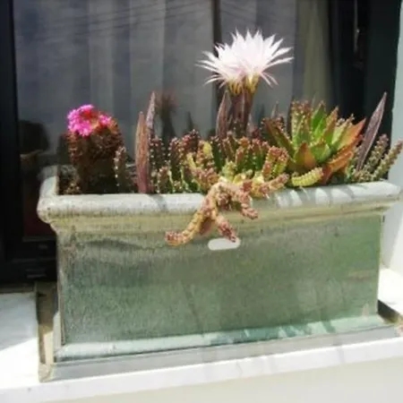 Apartment Sehr Schoene Mit Grosser Veranda,pool Garten Kissonerga